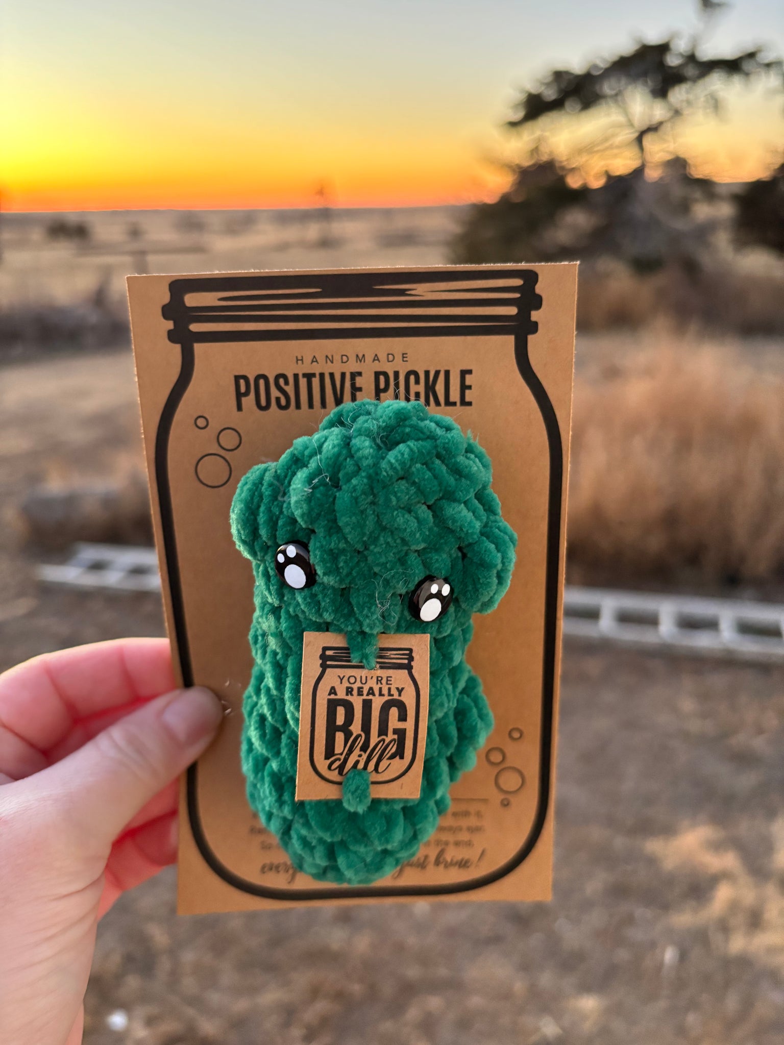 Positive pickle