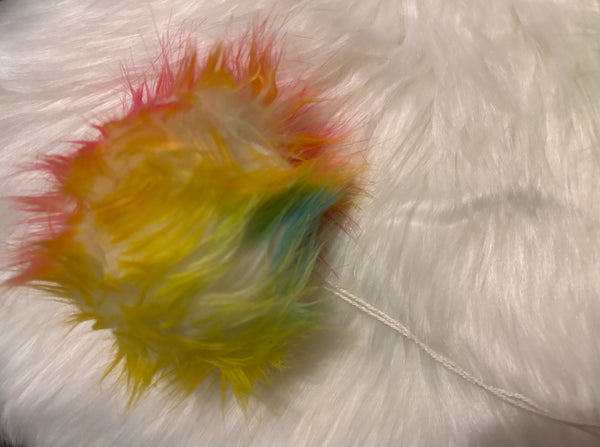 Rainbow pom pom