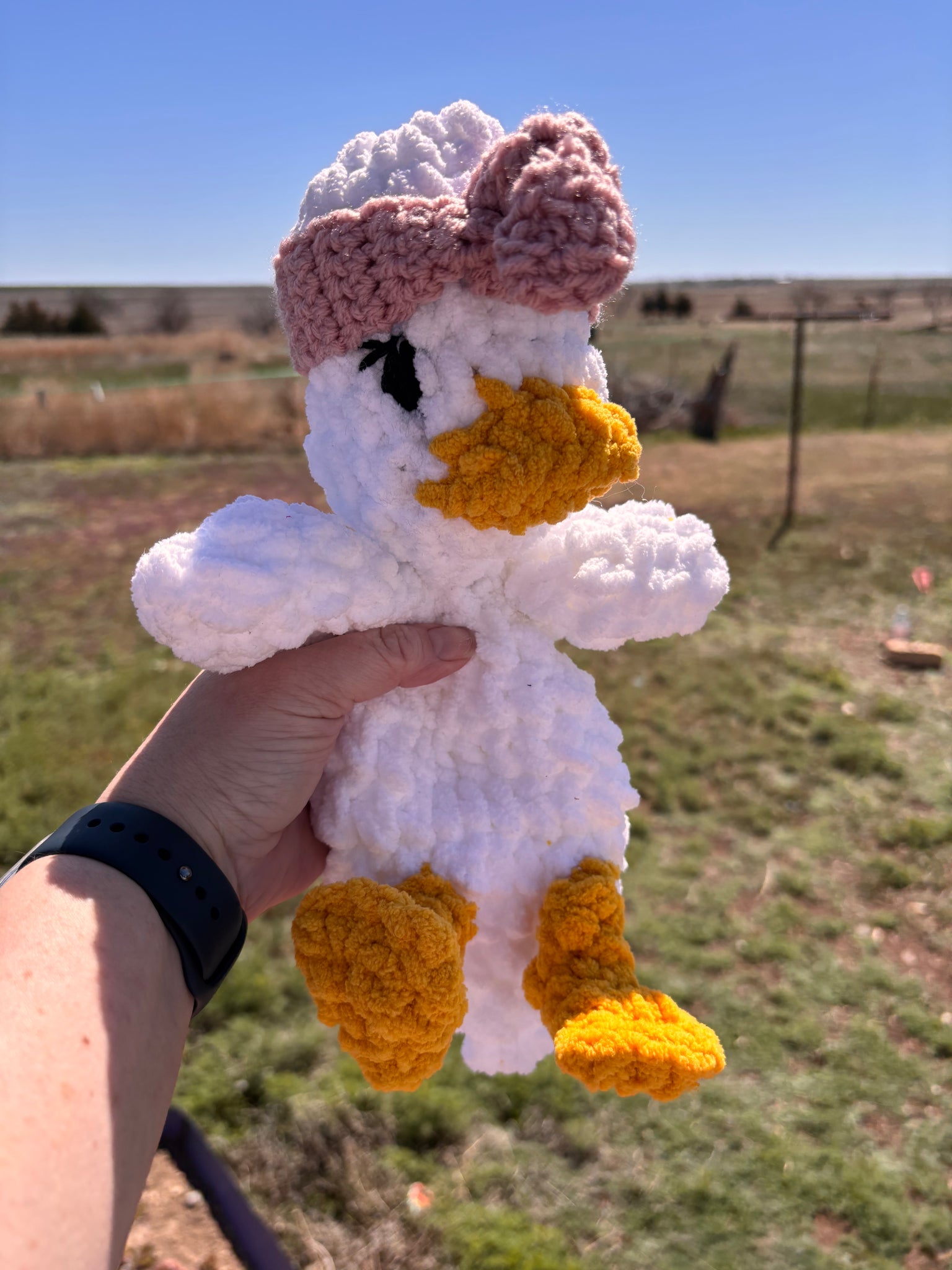 Duck stuffie