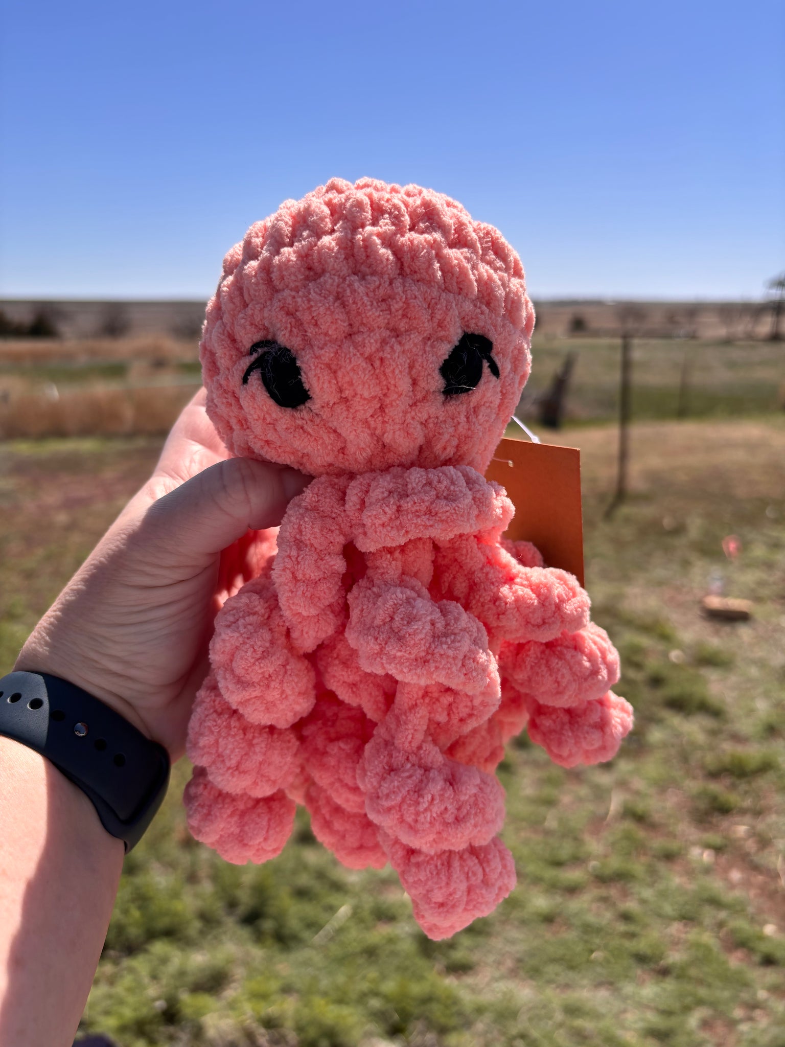 Small Octopus stuffie