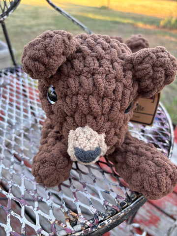 Brown bear stuffie