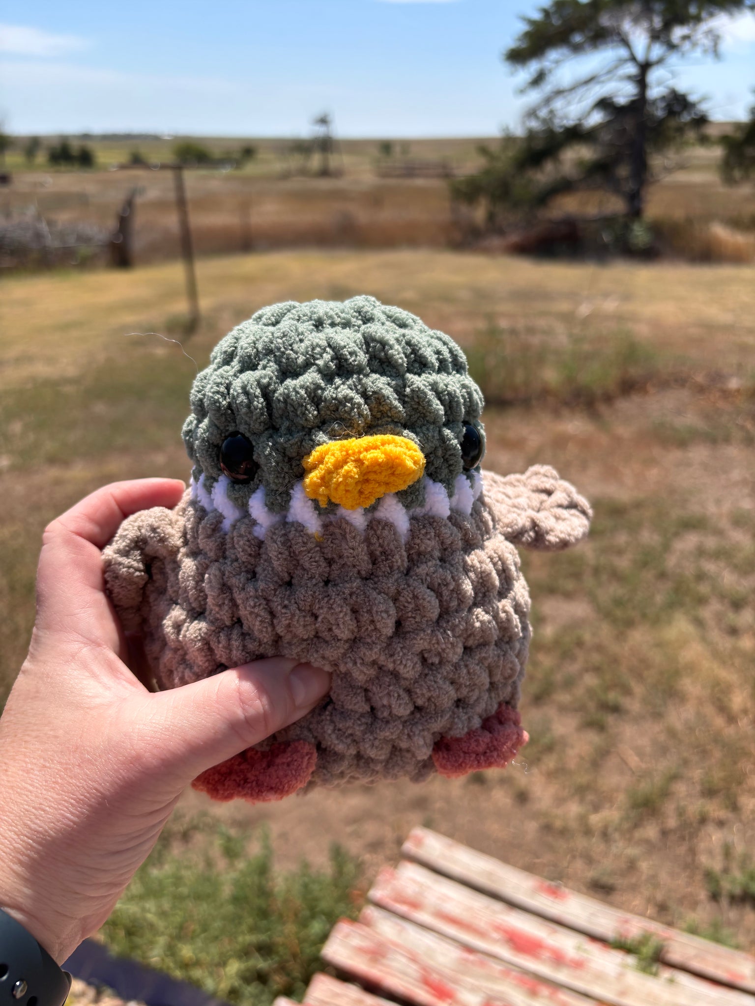 Chubby Buddy duck stuffie